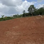 Bán đất Xã Xuyên Mộc gần chợ Xuyên Mộc, diện tích: 6x28m, có 80m2 thổ cư, khu dân cư, đường ô tô - Ảnh thu nhỏ 8