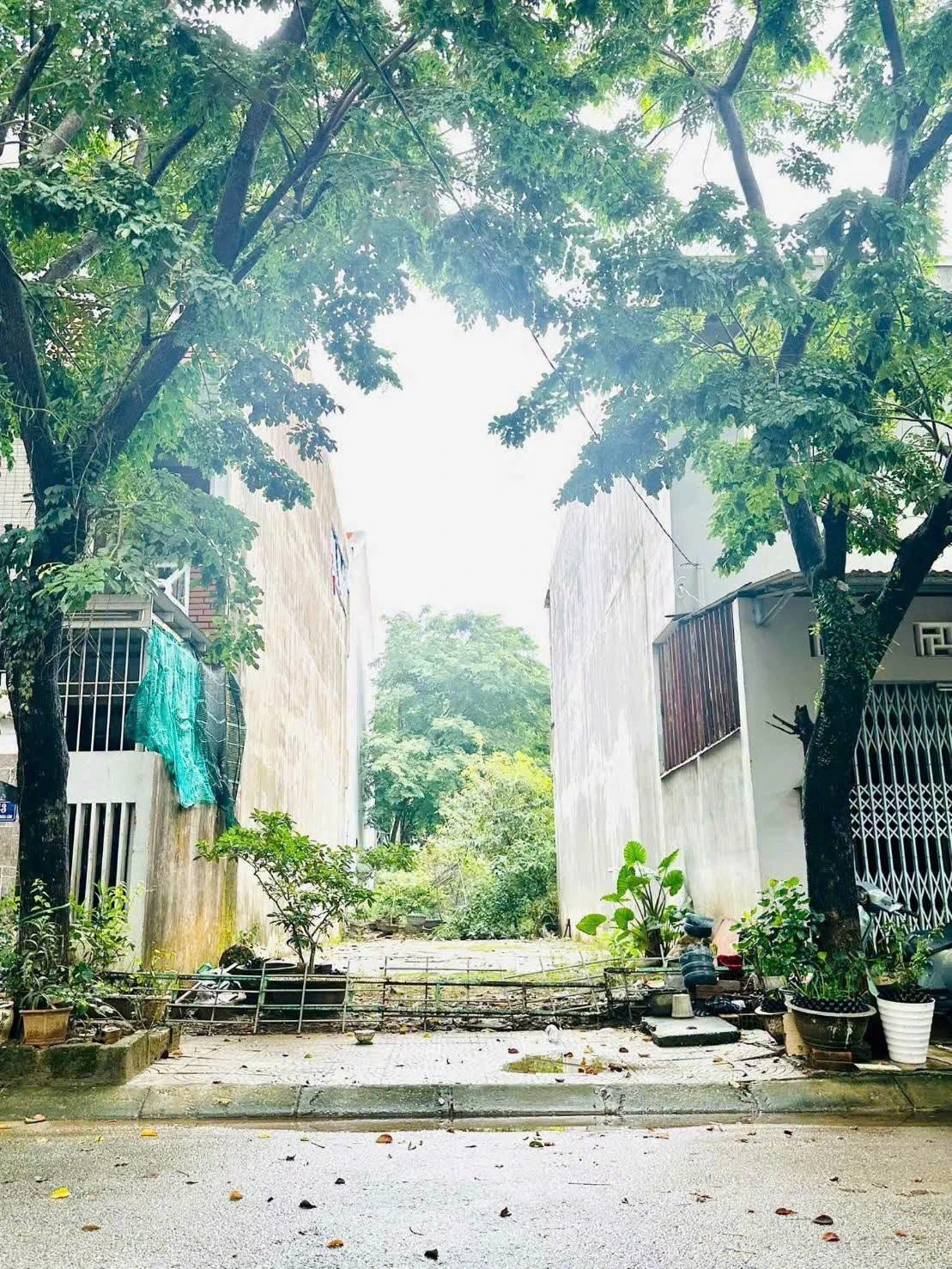 Bán đất mặt tiền Nguyễn Xuân Lâm Huế, 100m2, 3.9 tỷ - Ảnh 1