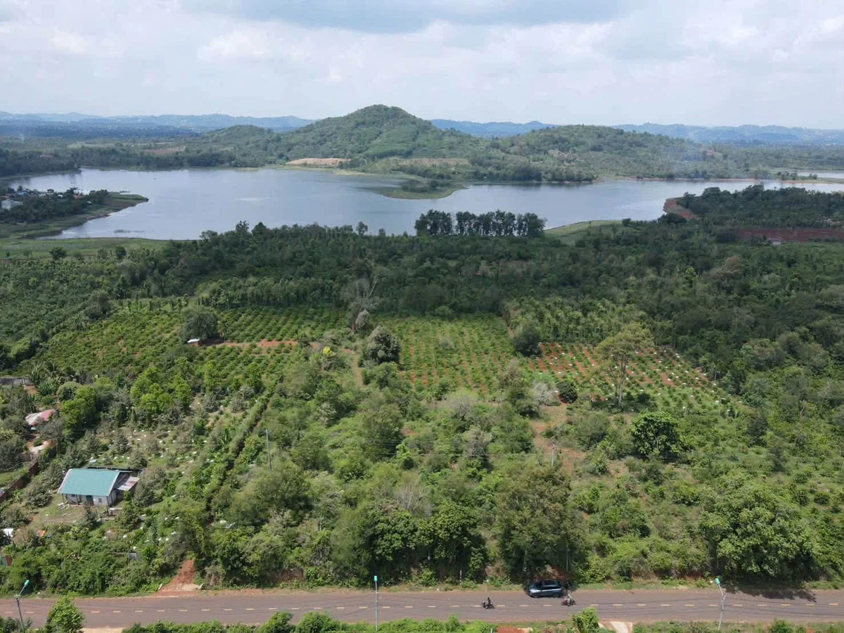 Bán đất nông nghiệp Phường Eakao Buôn Ma Thuột 6.550 m² 7,5 tỷ - Ảnh 1