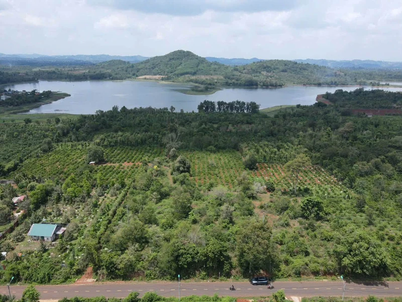 Bán đất nông nghiệp Phường Eakao Buôn Ma Thuột 6.550 m² 7,5 tỷ