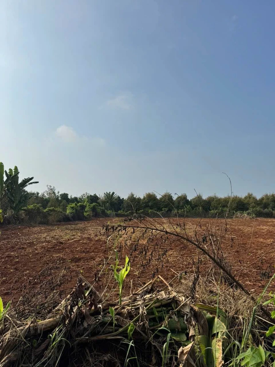 Bán đất 3000m2 tại Cẩm Mỹ, Đồng Nai, giá 4.6 tỷ - Ảnh thu nhỏ 3