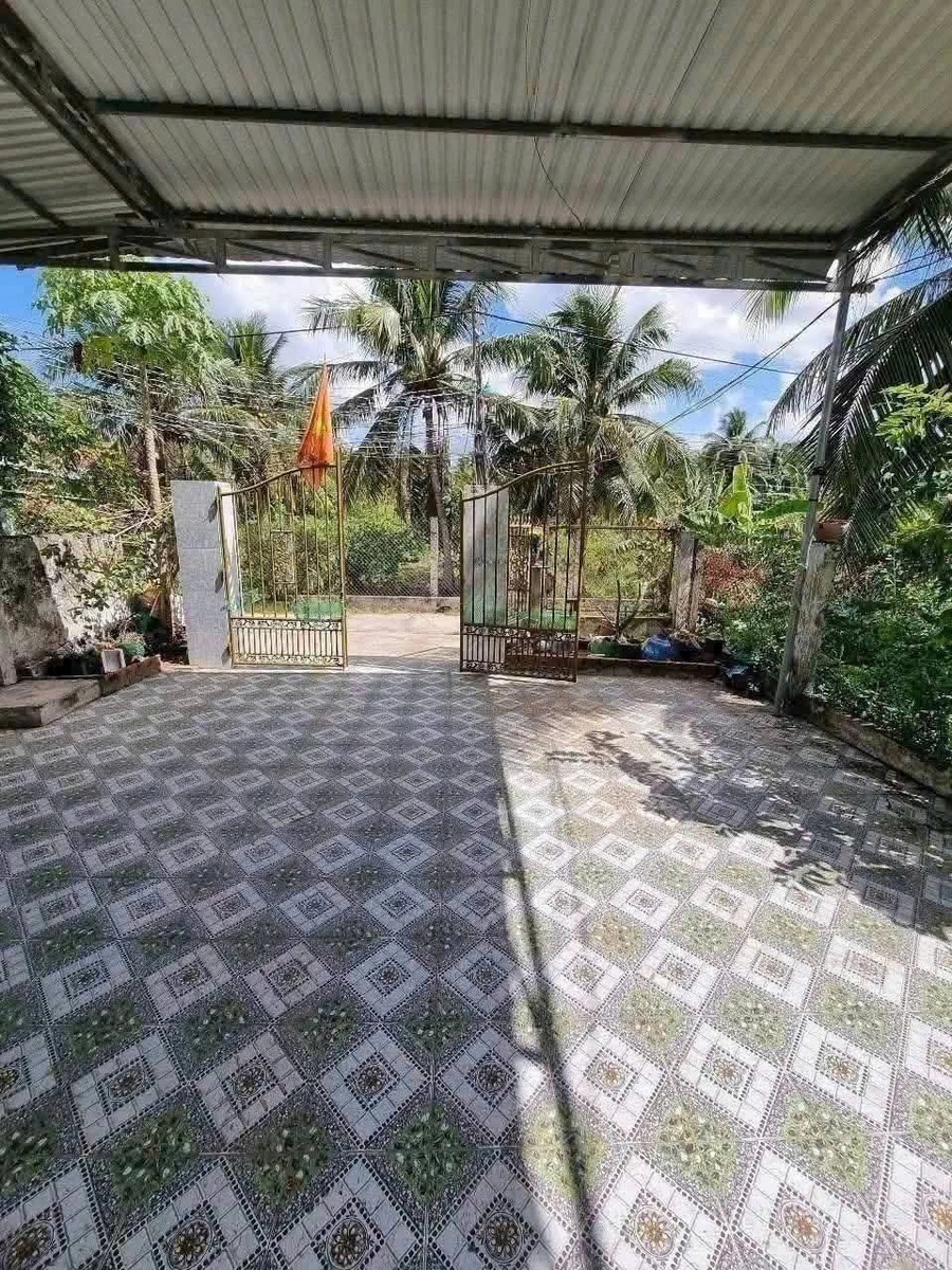 Nhà sân vườn Bình Phú Bến Tre 50m² 1.5 tỷ - Ảnh thu nhỏ 3