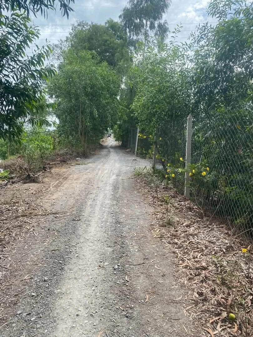 Bán đất 1.000m² view kênh tại Bình Đức, Bến Lức, Long An - Ảnh 1