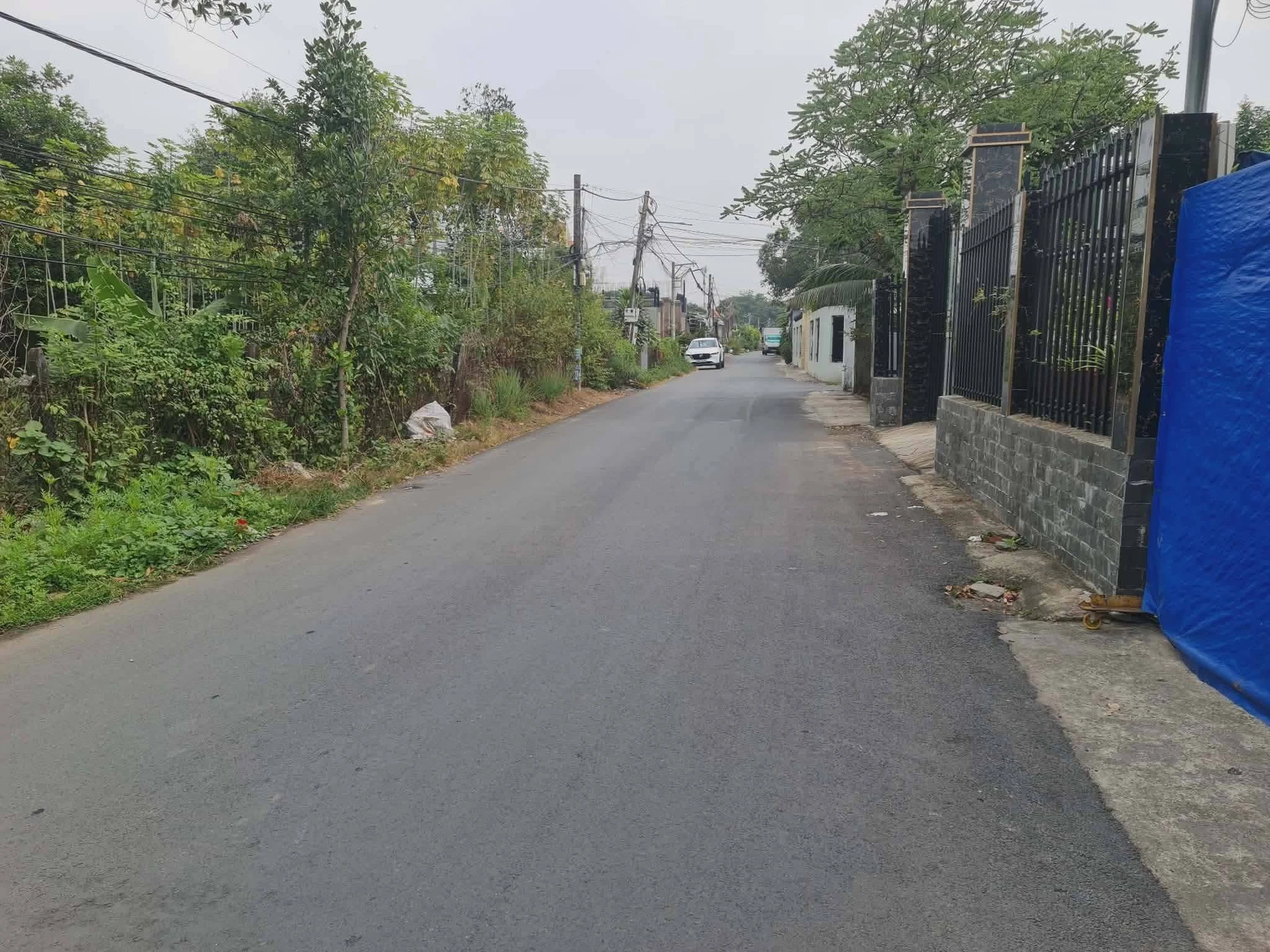 Bán đất SHR Thủ Dầu Một 176m2, 4.1 tỷ - Ảnh 1