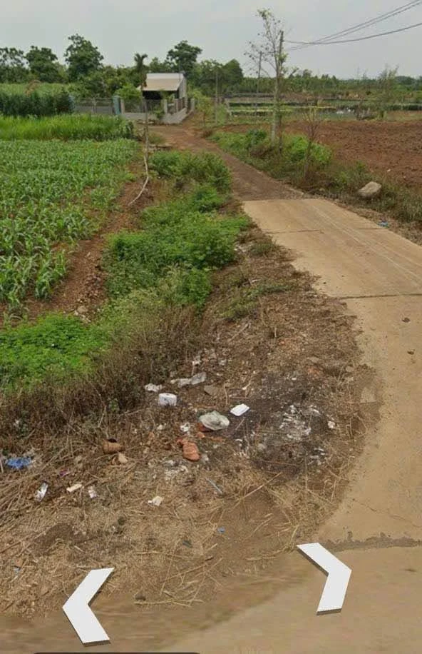 Bán đất 500m² Bình Chánh 520 triệu, sổ riêng - Ảnh thu nhỏ 4