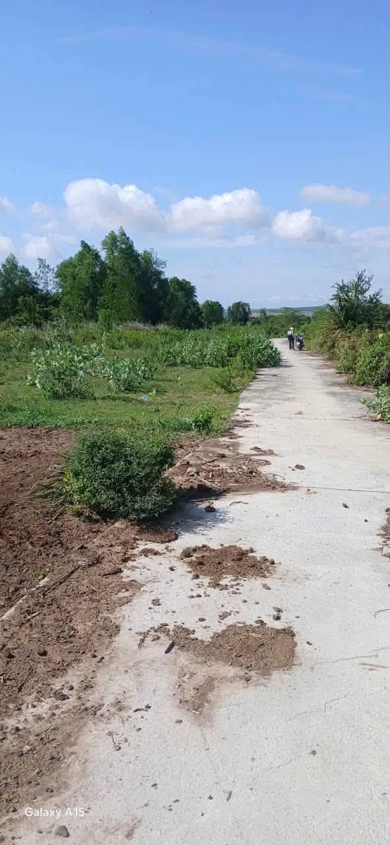 Bán đất 9.240m2 mặt tiền đường bê tông Nhà Bè, giá 2,3 tỷ - Ảnh thu nhỏ 5