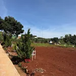 Bán lô đất 200m² Nam Ban Lâm Hà 3.3tr/m² - Ảnh thu nhỏ 4