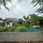 Bán đất mặt tiền Phố Quang Trung 73m² nhỉnh 1 tỷ - Ảnh thu nhỏ 2