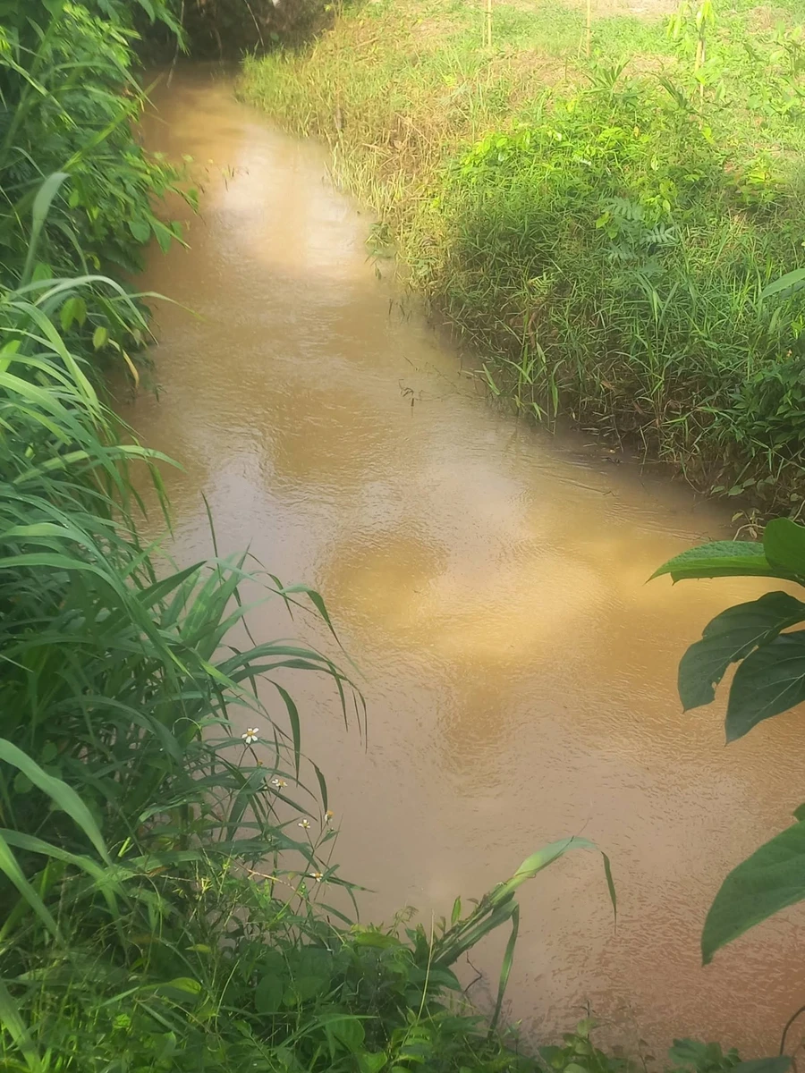 Bán đất vườn 7ha Long Hà Phú Riêng Đồng Nai 1 tỷ 250 - Ảnh thu nhỏ 3