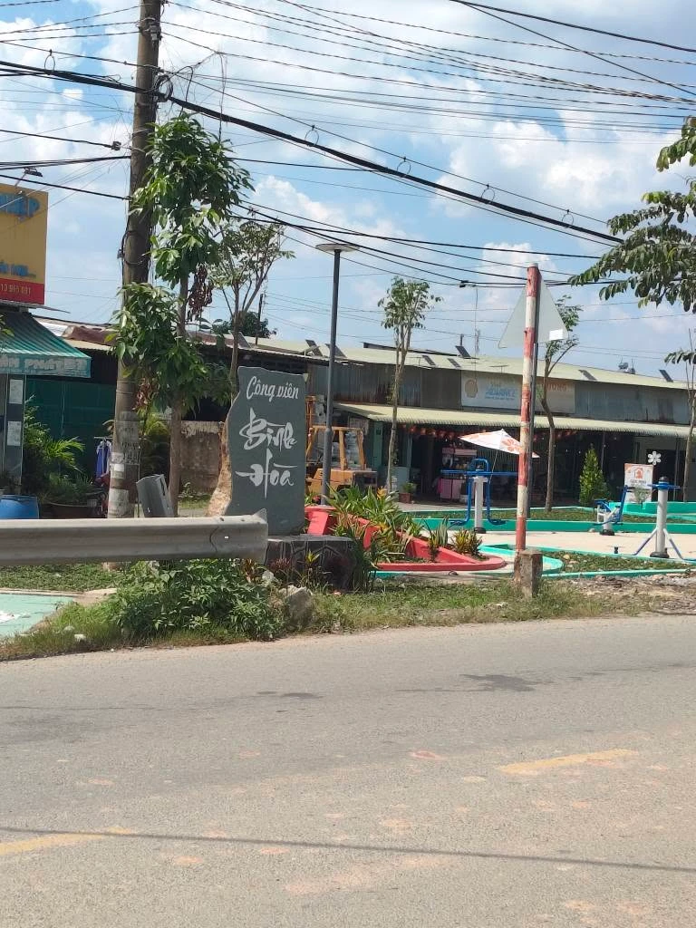 Bán lô đất mặt tiền 1039.54m² Tân Triều - Ảnh 1