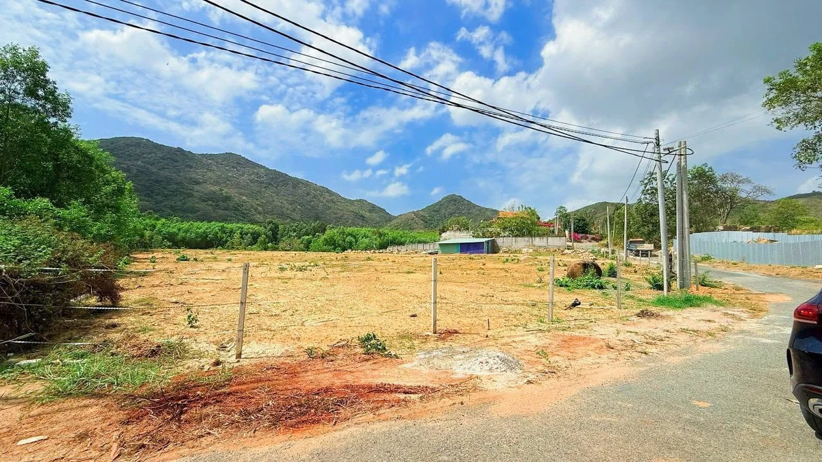 Bán đất 5969m2 Phước Hải Cần Giờ 18 tỷ - Ảnh thu nhỏ 3