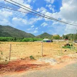 Bán đất 5969m2 Phước Hải Cần Giờ 18 tỷ - Ảnh thu nhỏ 3