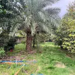 Bán nhà vườn 2300m2 có hồ bơi, Đồng Nai, 1.85 tỷ - Ảnh thu nhỏ 3