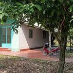 Bán đất 1000m² xã Tân Trạch Cần Đước Long An 2,8 tỷ - Ảnh thu nhỏ 4