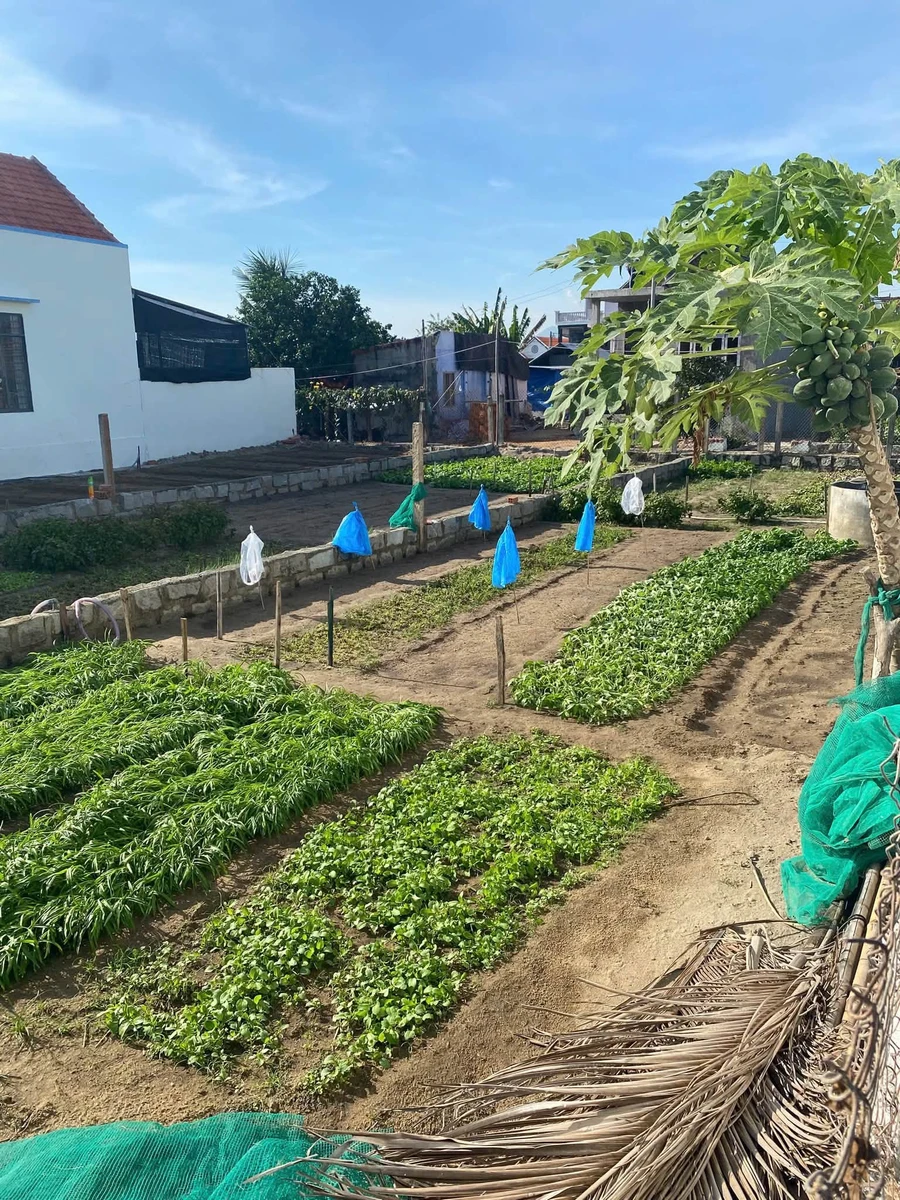 Bán lô đất 126m² cách biển Dốc Lết 1km Phường Đông Ninh - Ảnh 1