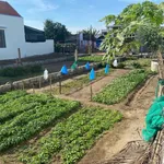 Bán lô đất 126m² cách biển Dốc Lết 1km Phường Đông Ninh - Ảnh thu nhỏ 1