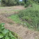 Bán đất full thổ 1957m² Tân Trụ Long An 2 tỷ 800 - Ảnh thu nhỏ 3