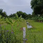 Bán đất cây hàng năm 3600m² Thạnh Đức, Bến Lức 2 tỷ - Ảnh thu nhỏ 3