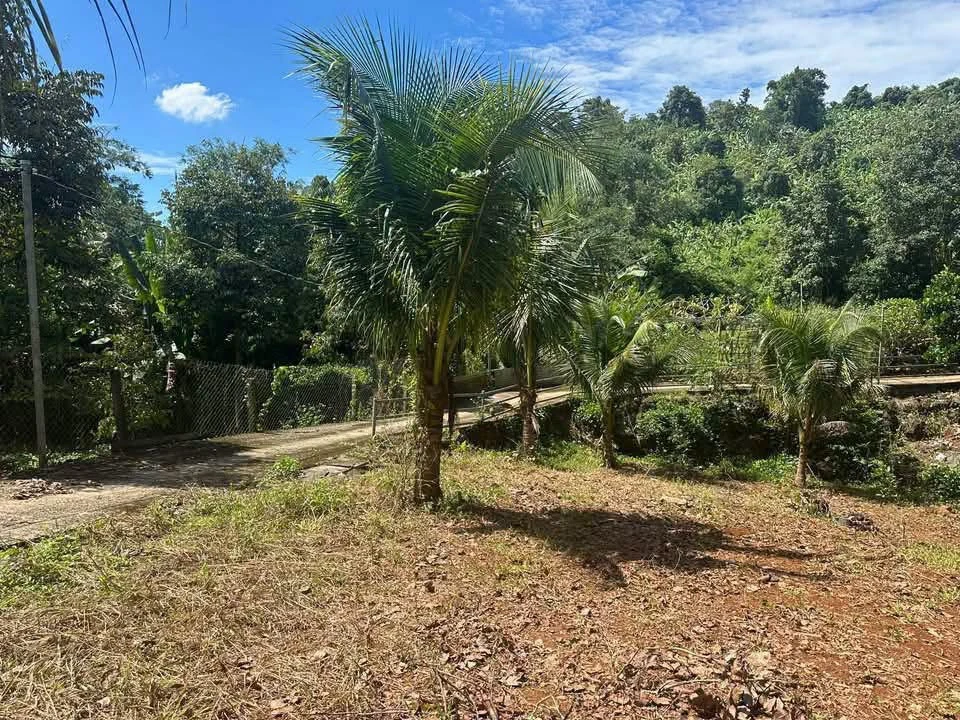 Lô đất 2100m² Suối Tre Long Khánh 1 tỷ 9 - Ảnh thu nhỏ 4