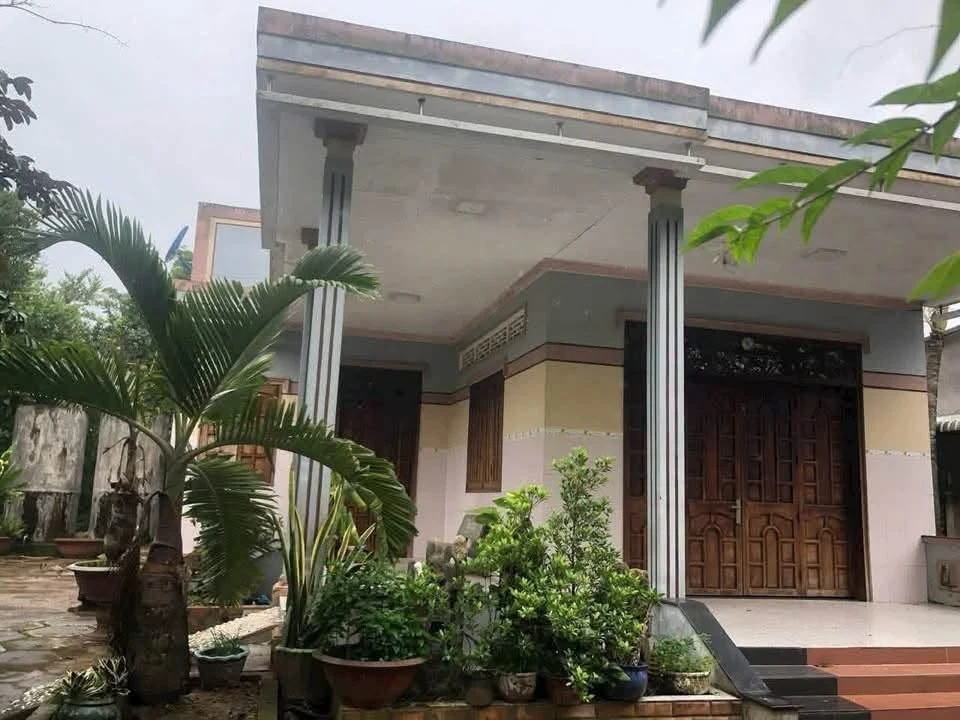 Bán đất 947m² tại Tam Phước, Bến Tre, giá 1 tỷ 600 triệu - Ảnh thu nhỏ 5