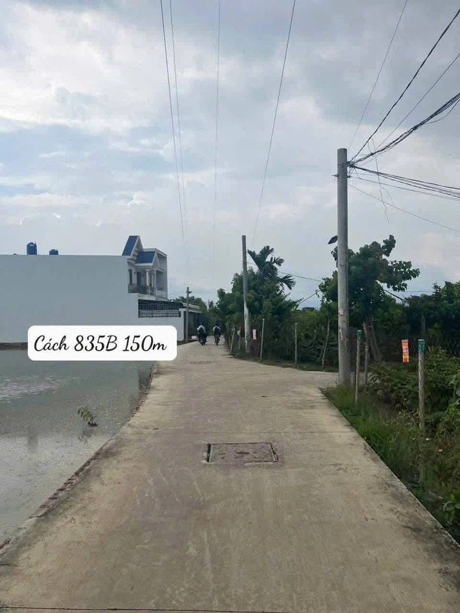 Bán lô đất vườn 412m2 Phước Lý, Cần Giuộc, Long An - Ảnh thu nhỏ 4