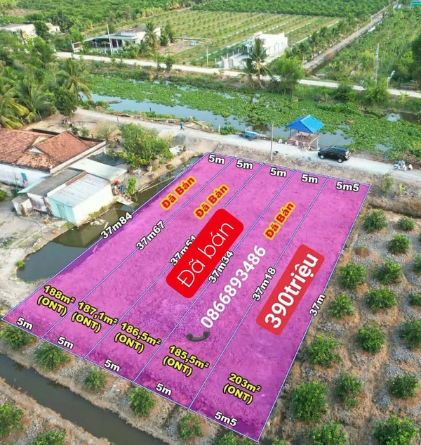 Bán đất thổ cư 203m² Thạnh Hoà Bến Lức, giá 390 triệu