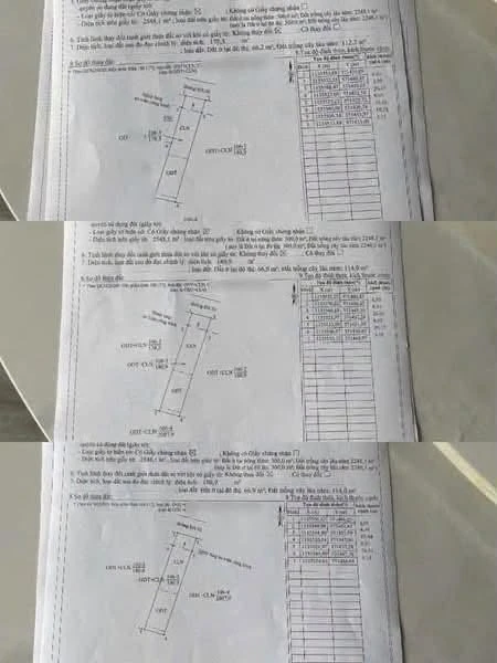 Bán đất 3 nền liền kề Xã Hữu Định, Phú Tân, Bến Tre, 180m2/nền - Ảnh thu nhỏ 4