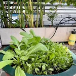 Bán nhà 4 tầng 105m² Quận 4 giá 5 tỷ 290 triệu - Ảnh thu nhỏ 1