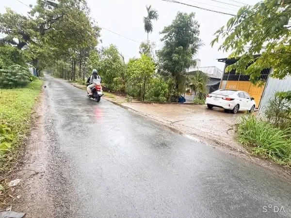 Bán đất thương mại dịch vụ 318m² Hoa Lăm Bến Tre 420 triệu - Ảnh thu nhỏ 4