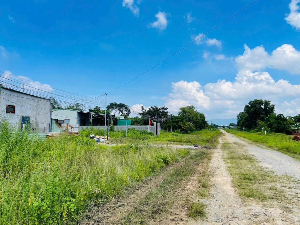 Bán lô đất mặt tiền 500m² Long Điền 900 triệu - Ảnh thu nhỏ 2