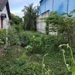 Bán đất mặt tiền An Thạnh, Nhà Bè 203m2 - Ảnh thu nhỏ 3