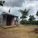 Bán 1,8 hectare rẫy cà phê tiêu Đắk Mil 3,5 tỷ - Ảnh thu nhỏ 2