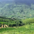 Chuyển nhượng 769m2 trung tâm SaPa. Sẵn 120m2 thổ cư. Giá 18 tỷ - Ảnh thu nhỏ 12