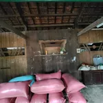 Bán nhà 7,5x9m Hòa Phú - Ảnh thu nhỏ 5