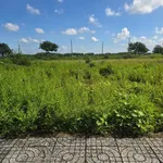 Bán đất Tân Hưng, Long Hương, 141m², 1 tỷ 190 - Ảnh thu nhỏ 3
