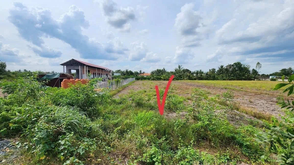 Bán đất 1000m² Xã Bình Đức, Tây Ninh 1 tỷ 450 triệu - Ảnh thu nhỏ 3