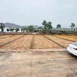 Bán đất nền 120m² Nhuận Trạch Hòa Bình gần KCN, giá 1 tỷ - Ảnh thu nhỏ 4