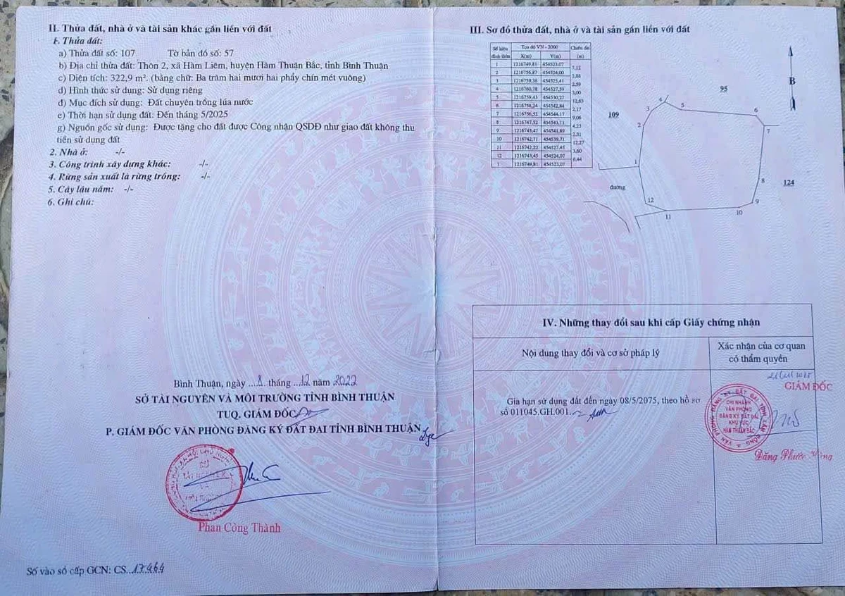 Bán đất 201m2 Hàm Liêm Nhà Bè, gần chợ Tân Nông - Ảnh thu nhỏ 5