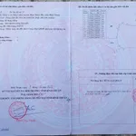 Bán đất 201m2 Hàm Liêm Nhà Bè, gần chợ Tân Nông - Ảnh thu nhỏ 5