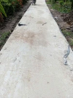 Chính chủ bán 11 công đất trồng lúa Hòa Mỹ, Hậu Giang - Ảnh thu nhỏ 5