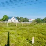 Bán đất nền 1057m2 gần biển Lagi, giá 1.2 tỷ - Ảnh thu nhỏ 1