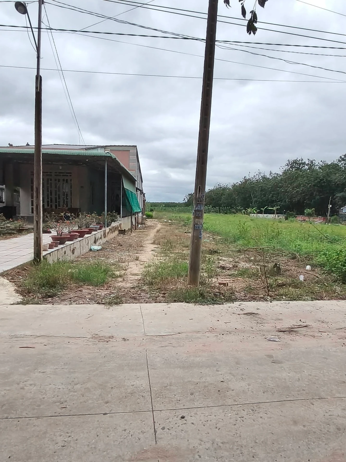 Bán đất 2136m² Phủ Hồng Tây Ninh, cách thị trấn 1km - Ảnh 1
