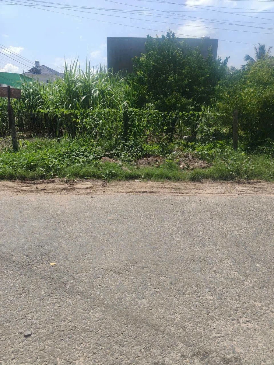 Bán đất 6,5x17,7m thổ cư 70m2 Long Thành Trung, Hòa Thành, Tây Ninh - Ảnh thu nhỏ 2
