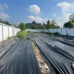 Bán 3 nền đất mặt tiền Phú Tân, 589m², 4,15 tỷ - Ảnh thu nhỏ 4