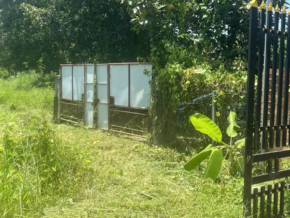 Bán đất 11.900m2 Tân An Vĩnh Cửu Đồng Nai 8,5 tỷ - Ảnh thu nhỏ 2