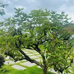 Nhà vườn 1800m² giá 2,2 tỷ gần Phan Thiết - Ảnh thu nhỏ 1