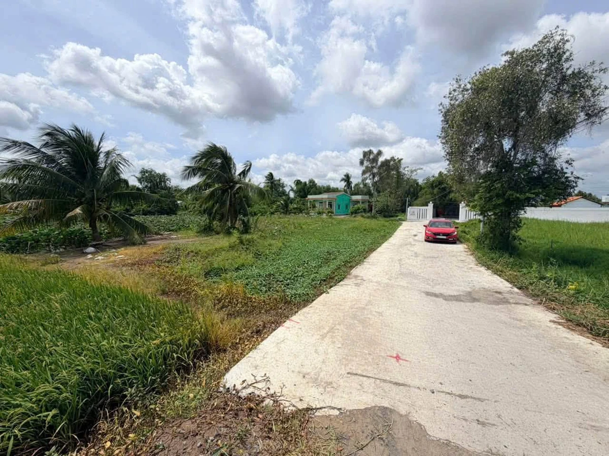 Bán đất ruộng 800m² xây nhà vườn Tân Trụ 1,1 tỷ - Ảnh 1