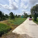 Bán đất ruộng 800m² xây nhà vườn Tân Trụ 1,1 tỷ - Ảnh thu nhỏ 1