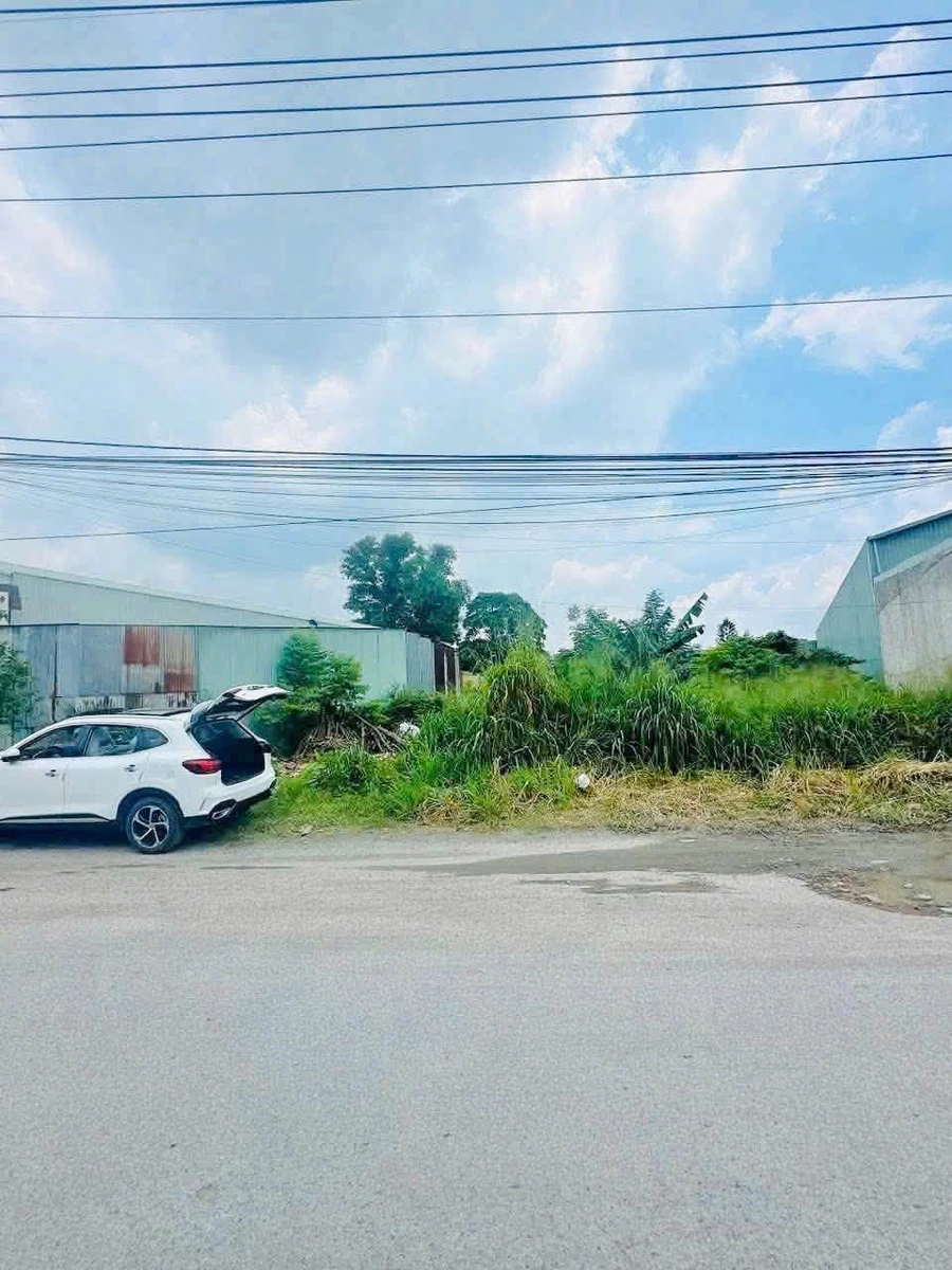 Bán lô đất mặt tiền kinh doanh Biên Hoà 187m2, 3.1 tỷ - Ảnh thu nhỏ 2