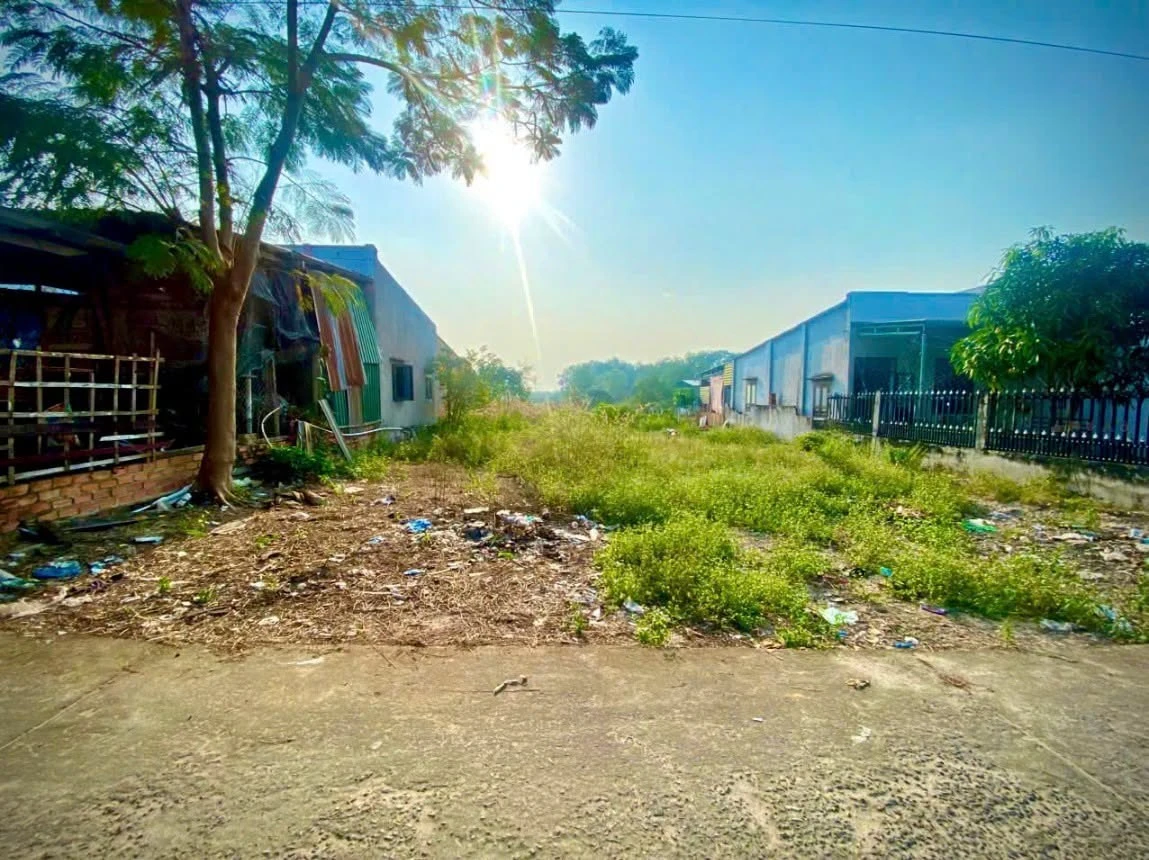 Bán đất 306m² thổ cư 247,6m² gần biển Lagi 1,2 tỷ - Ảnh thu nhỏ 3